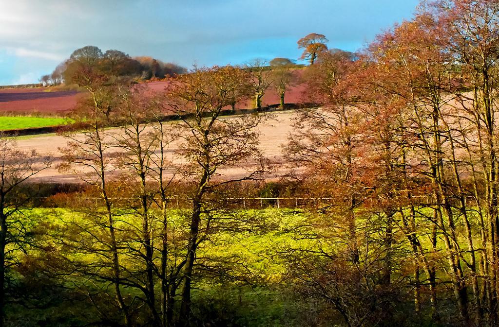 Cul Mor B&B Eccleshall Zewnętrze zdjęcie
